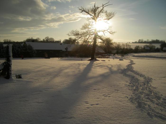 Gasthaus La Ferme Des Epis Ouffieres Exterior foto